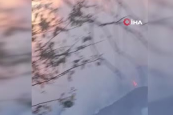 Bulgaristan’da 1’i Türkiye sınırında 4 büyük orman yangını