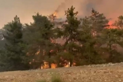 Bursa'da 5 köy tahliye edildi... Yangın felaketi büyüyor