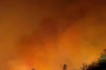 Bursa'da alev kapanından böyle kaçıştılar! jandarma ve basın mensupları...