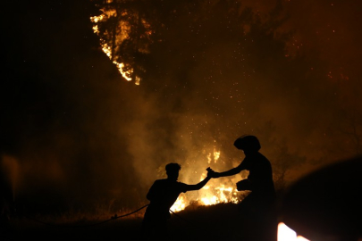 Bursa'da orman yangını: Karahıdır Mahallesi'nden sonra o mahalle de tahliye ediliyor!