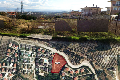 Bursa'da ormanın yanındaki arsa için imar duyurusu! Askıya çıkartıldı