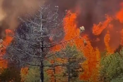 Bursa'da yeni tahliye kararı: Harmancık'ta 3 mahalle boşaltılıyor