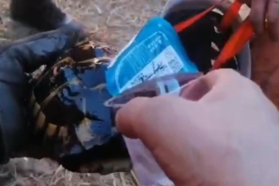 Bursa'da yürek ısıtan olay! Alevlerden kurtarıp su verdiler