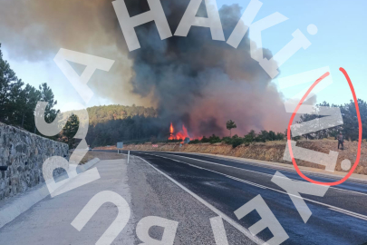 Vahim iddia: Bursa'da ormanı yakıp kaçtılar!