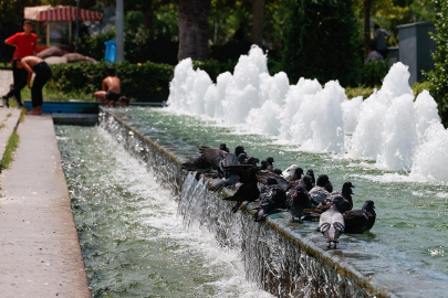 Yeni sıcak hava dalgası geliyor: 7-12 derece artacak