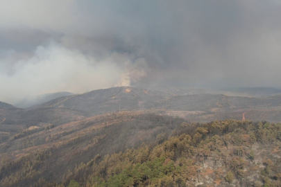 Bursa’da alevler yeniden yükseldi, müdahale havadan görüntülendi
