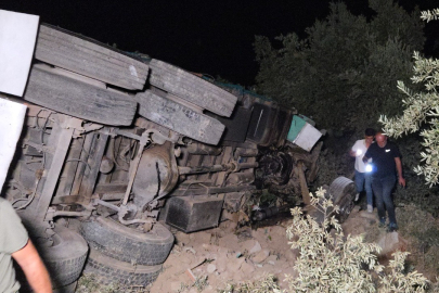 Bursa'da biber yüklü kamyon zeytinliğe uçtu: 1 yaralı