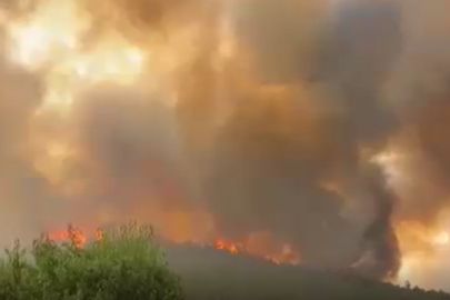 Bursa'daki yangın yerleşim yerinin dibinde! Vaziyet kötüleşiyor...