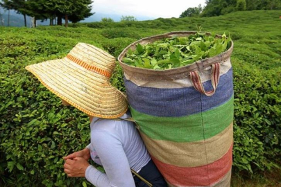 Çay sevenleri üzecek haber! Fiyatlar zamlandı...