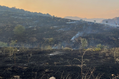 Diyarbakır'da merada başlayan yangın ormanlık alana yayıldı