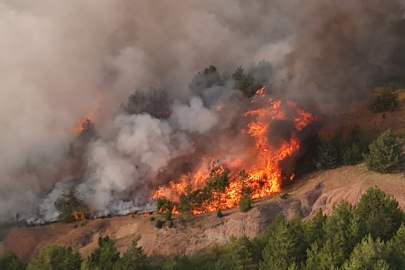 Karabük’te yeni orman yangını