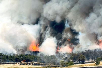 Kütahya'da orman yangını