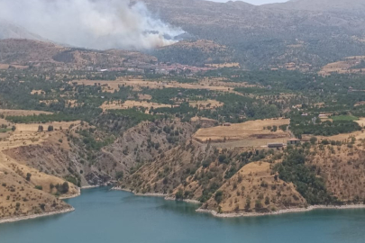Malatya'da orman yangınına havadan müdahale