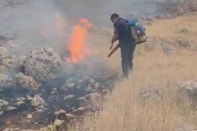 Mardin'de otluk alanda çıkan yangın söndürüldü