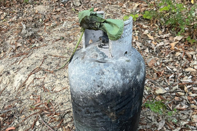 Sakarya Hendek’teki orman yangınının sebebi belli oldu