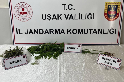 Uşak’ta jandarma ekiplerince uyuşturucu operasyonu