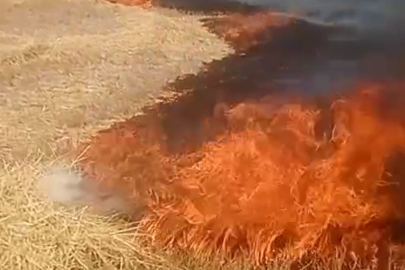 Ankara'da anız yangını