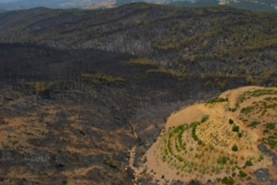 Bursa Büyükşehir Belediyesi Harmancık'taki yangının söndürüldüğünü duyurdu!