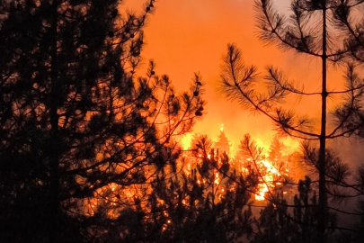 Bursa Büyükşehir Belediyesi’nden yangınlarla ilgili önemli duyuru
