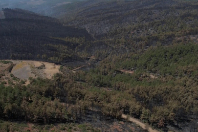 Bursa'da acı tablo: Harmancık'ta yanan yerler havadan görüntülendi