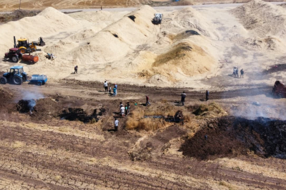 Çorum Alaca'da anız yangını: 70 dönüm arazi kül oldu