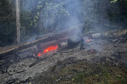 Gümüşhane’deki orman yangını söndürüldü