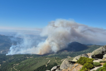 İspanya'da 3 farklı noktada orman yangını