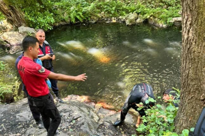 İstanbul'da serinlemek için girdiği şelalede boğuldu