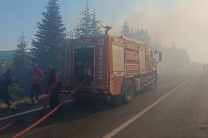 Malatya'daki orman yangınları kontrol altına alındı