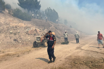 Manisa'daki orman yangını kontrol altına alındı