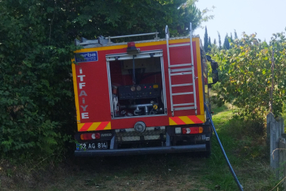 Ordu’da bahçe yangını hızlı müdahaleyle söndürüldü