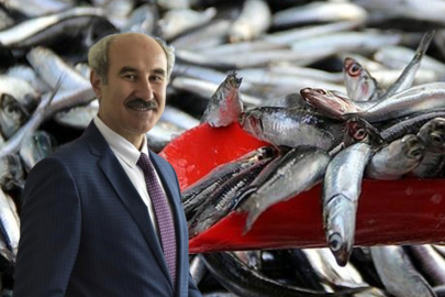 Prof. Dr. Mustafa Sarı'dan "Marmara" çağrısı! "Son balığı da avlamak için çaba içindeler"