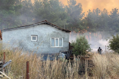 Yangınlardan etkilenen hanelere 10 milyon lira kaynak aktarıldı