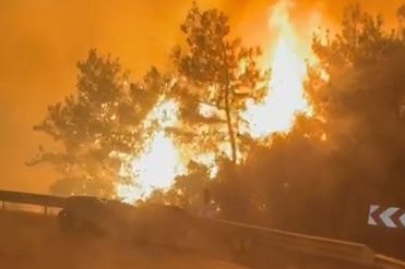 Bursa’da muhabirlerin zor anları! Alevlerin arasında kalmaktan son anda kurtuldular...