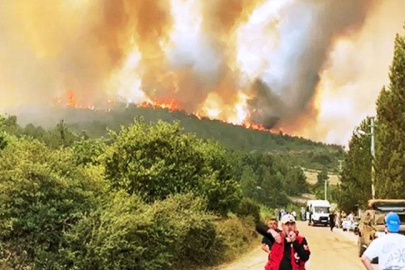 Bursa yangınları sonrası uzman isimden açıklama: Yanan ormanların eskiye dönmesi 10 yıl sürecek