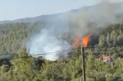 Denizli’de orman yangını
