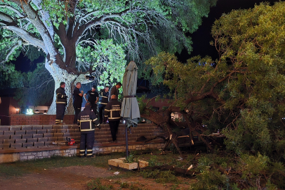 Karabük'te asırlık çınar ağacının kopan dalı 4 kişiyi yaraladı