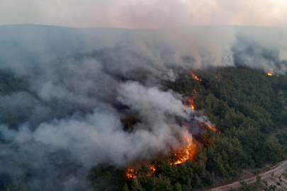 Orman yangınlarıyla ilgili 39 şüpheli tutuklandı