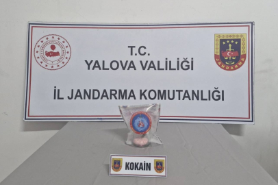 Yalova'da uyuşturucu operasyonunda 2 tutuklama