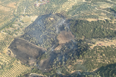 Aydın’daki yangın kontrol altına alındı