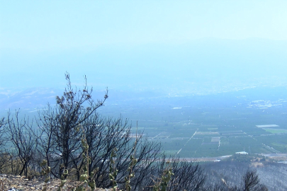 Bursa'da yangın sonrası başvuru sayısı yüzde 30 arttı!