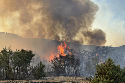 Orman yangınlarında görünmeyen tehlike