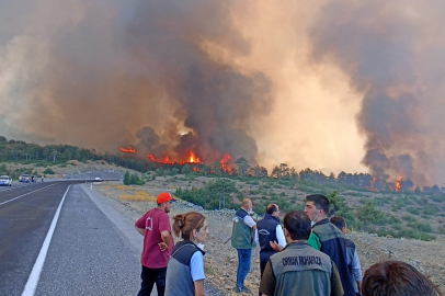 Bursa Büyükşehir’den yangın noktalarını anlık gösteren sistem