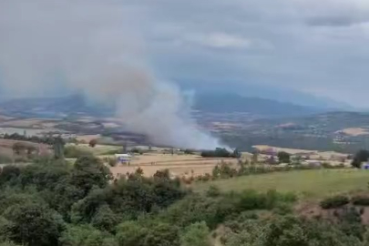 Bursa'da bir orman yangını daha! Bu kez Yenişehir...