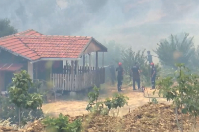 Bursa'da ilerleyen alevlere rağmen yangının eve sıçramasını engellediler!
