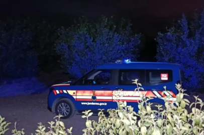 Adana'da uçak düştü! Vali Köşger'den açıklama