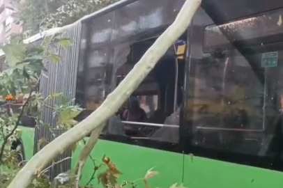 Denizli'de üzerine ağaç devrilen belediye otobüsünde can pazarı