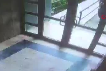 İstanbul'da kediye eziyet eden şahıs yakalandı