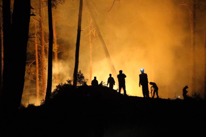 Vatandaşlar "Yeşil Vatan için biz de hazırız" mesajıyla CİMER'e başvurdu