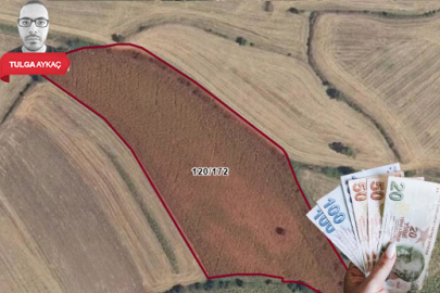 İcra dairesinden Bursa'da satılık dev tarla! İşte yeri ve fiyatı...